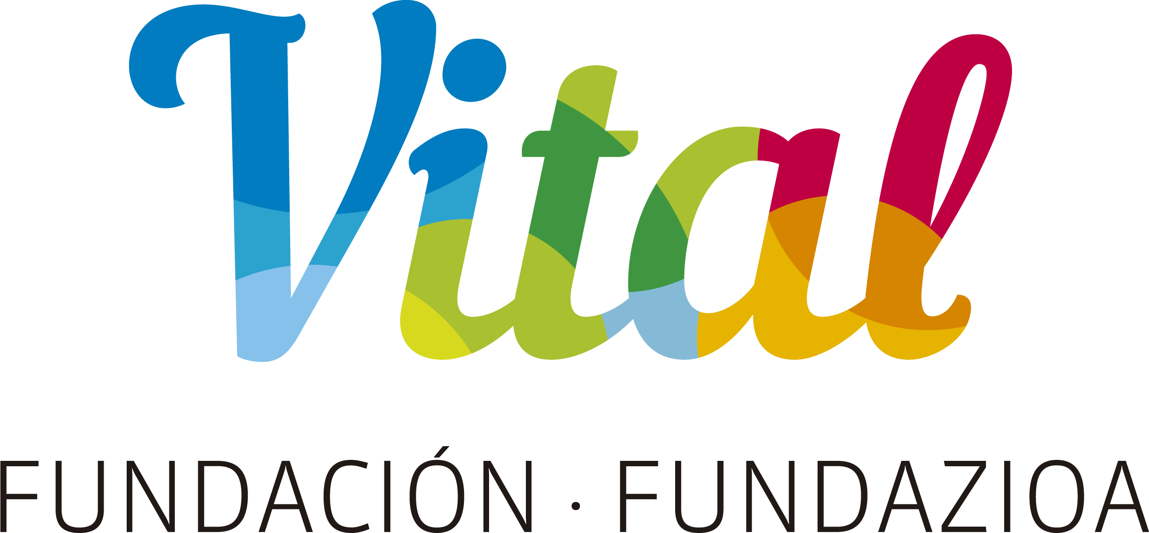 Fundación Vital Fundazioa